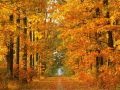 autumn leaves - toots  thielemans & kenny werner