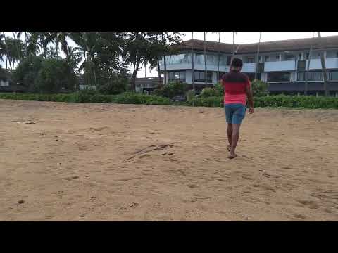 Tangerine Beach Hotel Kalutara Sri Lanka Beach