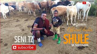 SHULE YA NGOMBE LIMBU LUCHAGULA GUEST YA GAMBI 2025 MSAMBAZAJI SENI TZ 