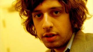 Adam Green - Bathing Birds