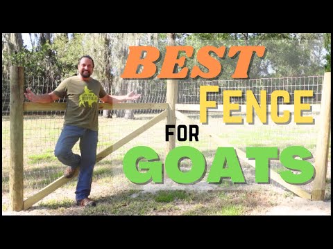 , title : 'How to Choose and Install the Best Fence for Your Goats | Stacy Alan'