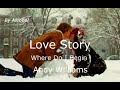 Where Do I Begin Love Story Andy Williams Traduzione In Italiano