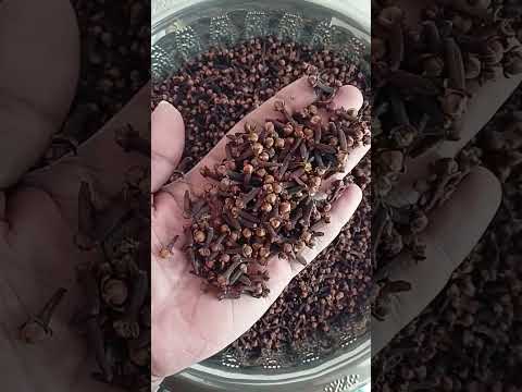 Kerala/Idukki Clove Brown Dry Cloves, Whole, Packaging Size: 5 Kg