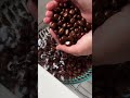 Loquat Seed ASMR