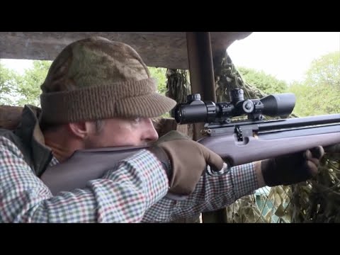 The Airgun Show – our top shots of 2018