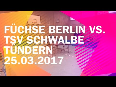 Füchse Berlin - TSV Schwalbe Tündern - Sa. 25.03.2017 - Regionalliga Nord 2016/2017