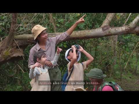 アニマルマジック (ANIMAL MAGIC)