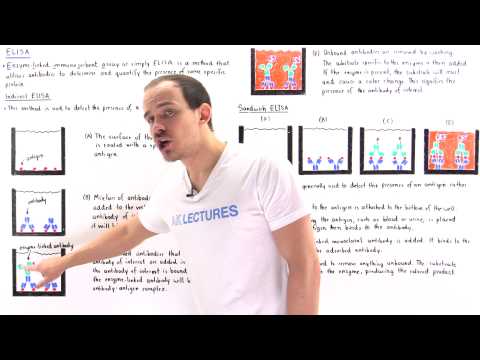Indirect and Sandwich ELISA