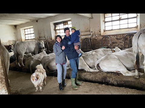 , title : 'Az.Agricola Vella Andrea e Giorgia con il piccolo Lorenzo vacche piemontesi e  barà Massazza (BI)'