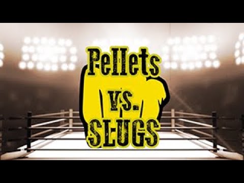 Airgun Pellets vs. Slugs Tutorial - Which is right for you?