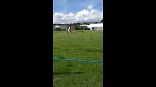 preview picture of video 'Tenbury Countryside Show 2013 Speed Class'