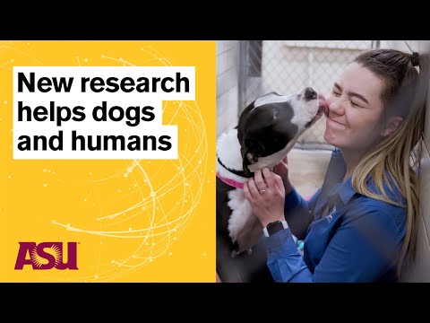 Solving Biological and Behavioral Mysteries: Catalyst