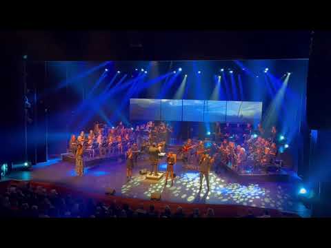 Thomas Orkest California Dreamin