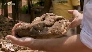 vaudou religion magie noire sorcellerie benin