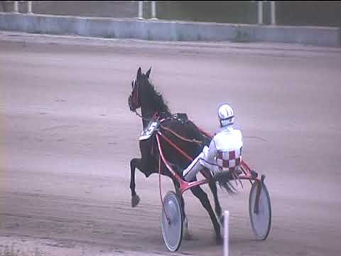 Trotto 04/11/2018 - 2ª corsa