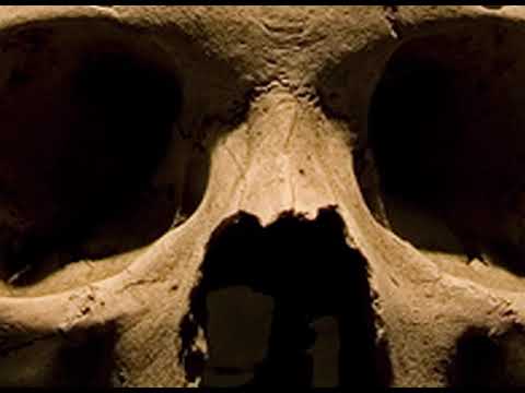 Kain   Cuestion de principios 2008