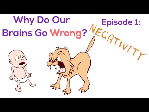 Why Do Our Brains Go Wrong?