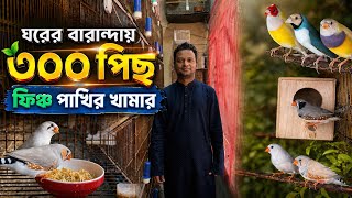 Download lagu ঘরের বারান্দায় গড়ে তুলেছেন ৩০০ পিছ ফিঞ্চ পাখির খামার।  mp3