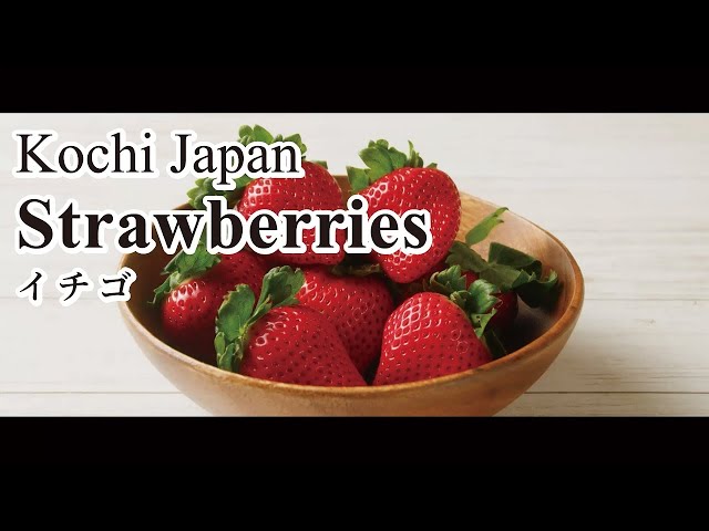 How to make the popular Japanese wagashi sweets, strawberry daifuku, with Kochi strawberries