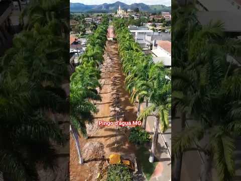 Obras de Revitalização do Canteiro Central #pingodaguamg