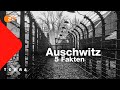 5 Fakten, die ihr über Auschwitz wissen solltet | Terra X