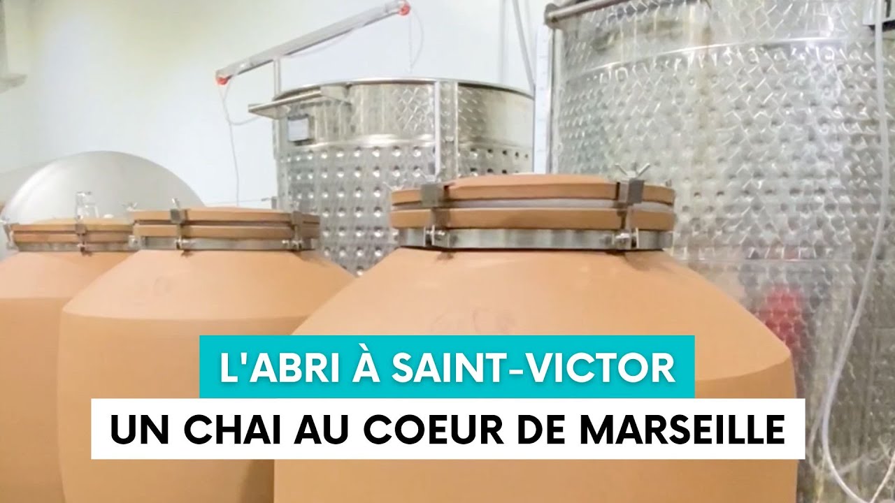 L’Abri, le restaurant qui cache un chai au coeur de Marseille