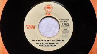 Molasses In The Moonlight , Jack Blanchard &amp; Misty Morgan ,1976 Vinyl 45RPM