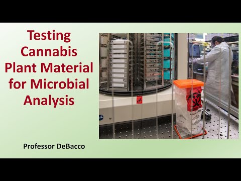 Testing Cannabis Plant Material for Microbial Analysis
