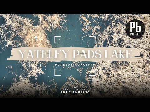 Yateley Pads Lake - Purebaitconcepts - Carp fishing