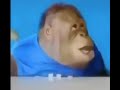 Ching Chong Bing Bong