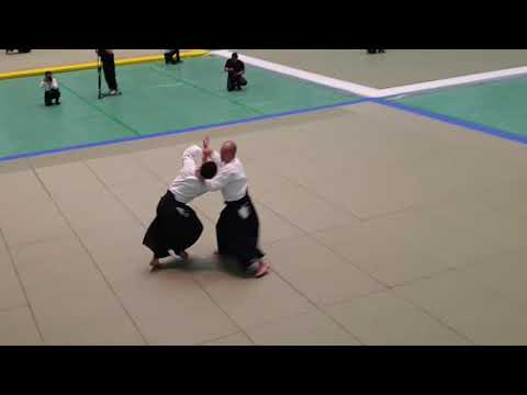 Sakurai Hiroyuki Shihan - 57th All Japan Aikido Demonstration 2019