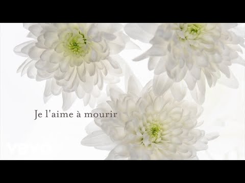 Francis Cabrel - Je l'aime à mourir (Lyrics vidéo officielle)