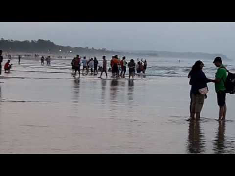 Goa - Baaga Beach