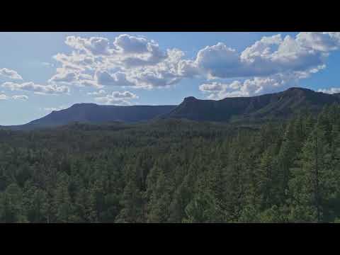 Coconino Forest thumbnail