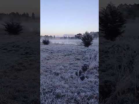 Frio intenso em nossa Palmas Paraná #frioextremo #frio #geada #neve #inverno #temperatura #extremo