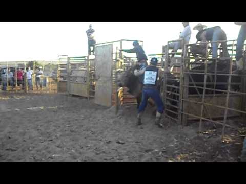 Diego Cares x Espaia Braza Cia IP