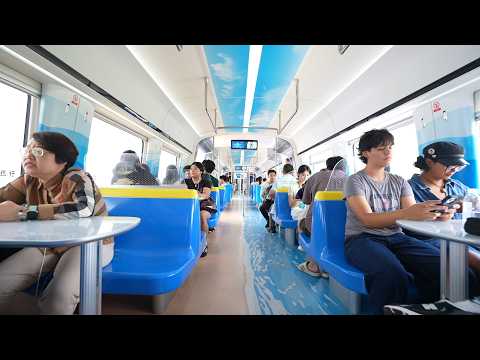 High‑speed insights: Young Americans see China through rail