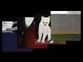 Duster Sleep Mix