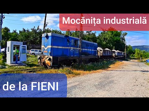 Marfarul de Duminica (Mocanita de la Fieni)