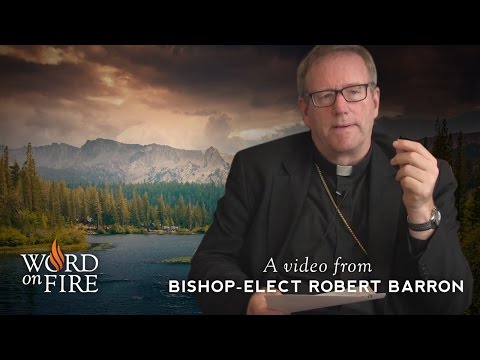 Bishop Barron on Nature and the Biblical God