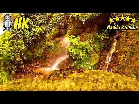 CUANDO LLEGUE A PHOENIX - Fernando Arias & Pasteles Verdes Karaoke