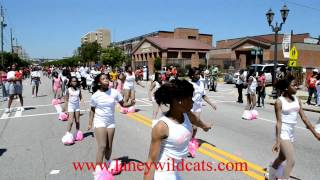 preview picture of video 'Pink Passions and Platninum Players Marching Unit - 2012 Laney Basket State Championship parade.'