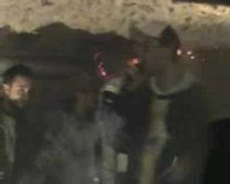 ital g et fredo faya