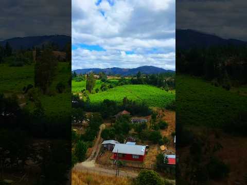 Desde la comuna de Nacimiento, cruzando el imponente Río Bío #ChileHermoso #Nacimiento  #Biobío
