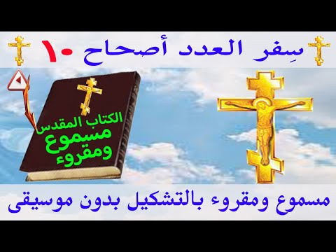 العدد 10