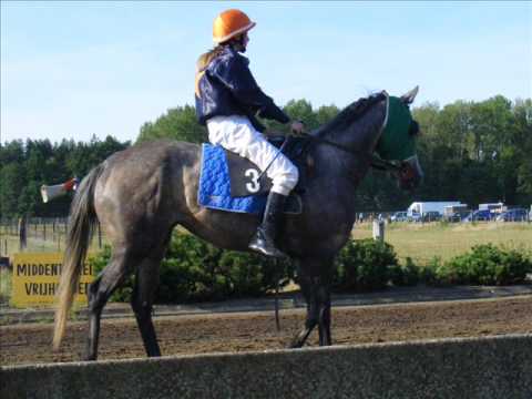 fotoreportage stal vets paardenkoersen