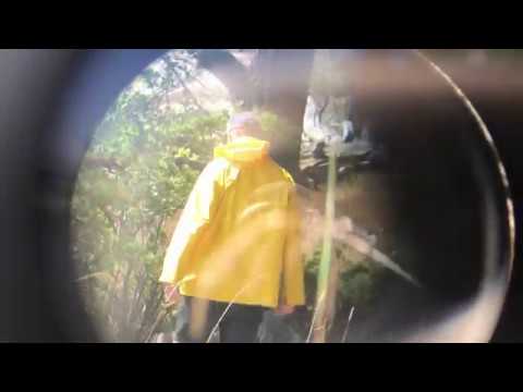 Niklas von Arnold - All min skam, - Musikvideo