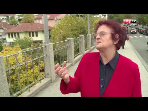 Pitanje dana - Šta znači ''objesiti mačku o rep''