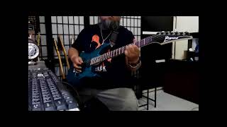 Terminal liberation - Mors Principium Est (Guitar cover)