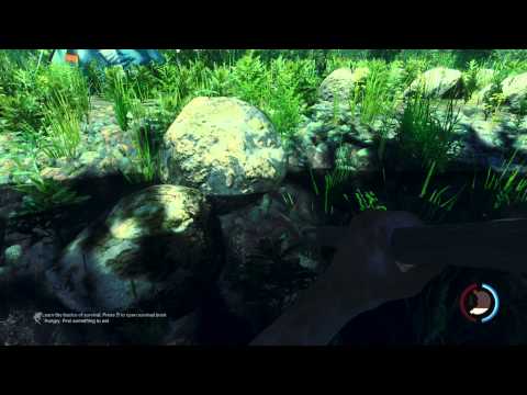 The Forest v.0.03 Peaceful Mode - Gameplay - Part 9